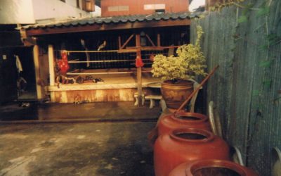 Thailand Story Part 1 JWP